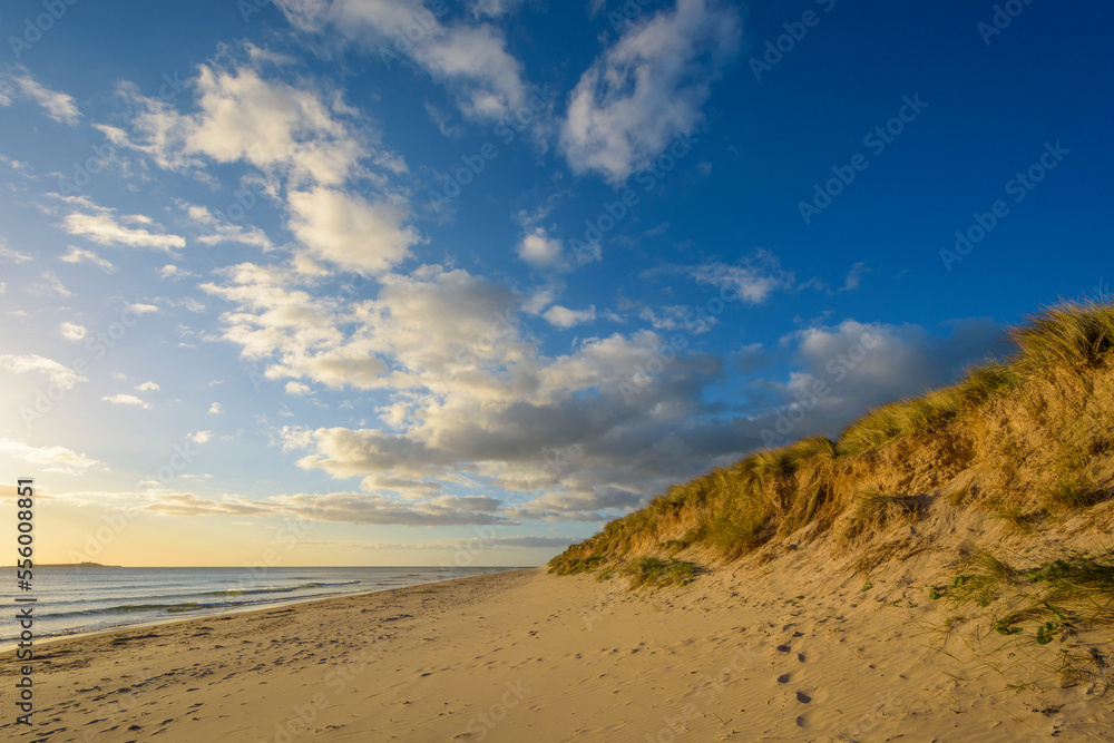 Footprints in the sand along the beach with the North Sea at Bamburgh in Northumberland, England, United Kingdom Footprints in the sand along the beach with the North Sea at Bamburgh in Northumberland, England, United Kingdom