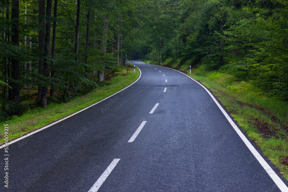 Paved road through forest after rain at Spiegelau in the Bavarian Forest National Park in Bavaria, Germany