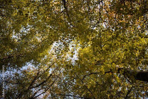 otoño