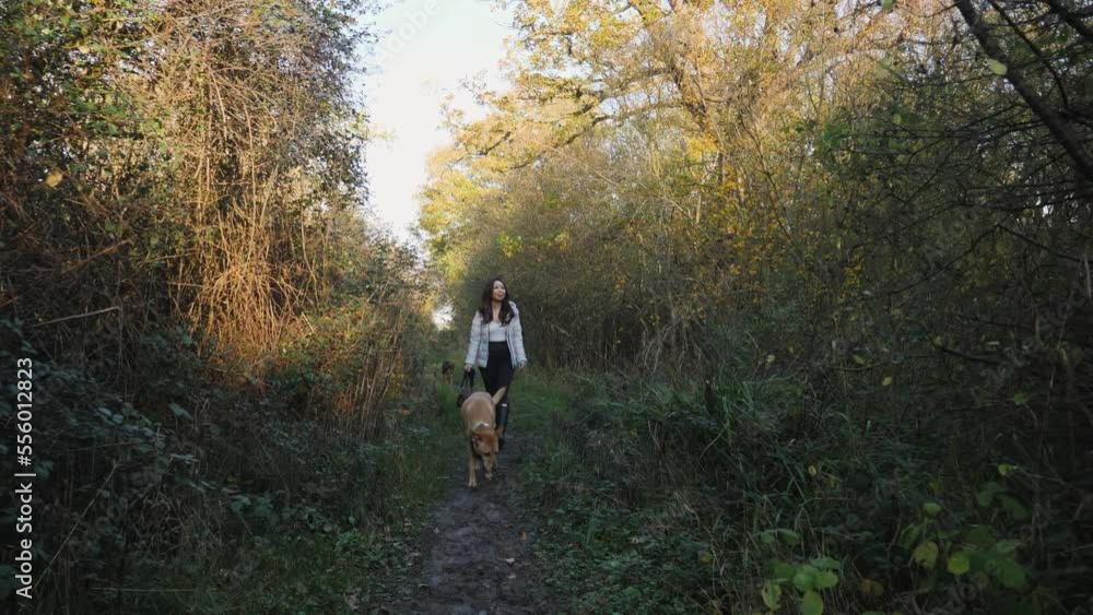 An Asian Woman and Her Dog Walking into a Dark Path An Asian Woman and Her Dog Walking into a Dark Path