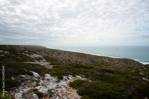 Great Australian Bight Marine Park © Adwo