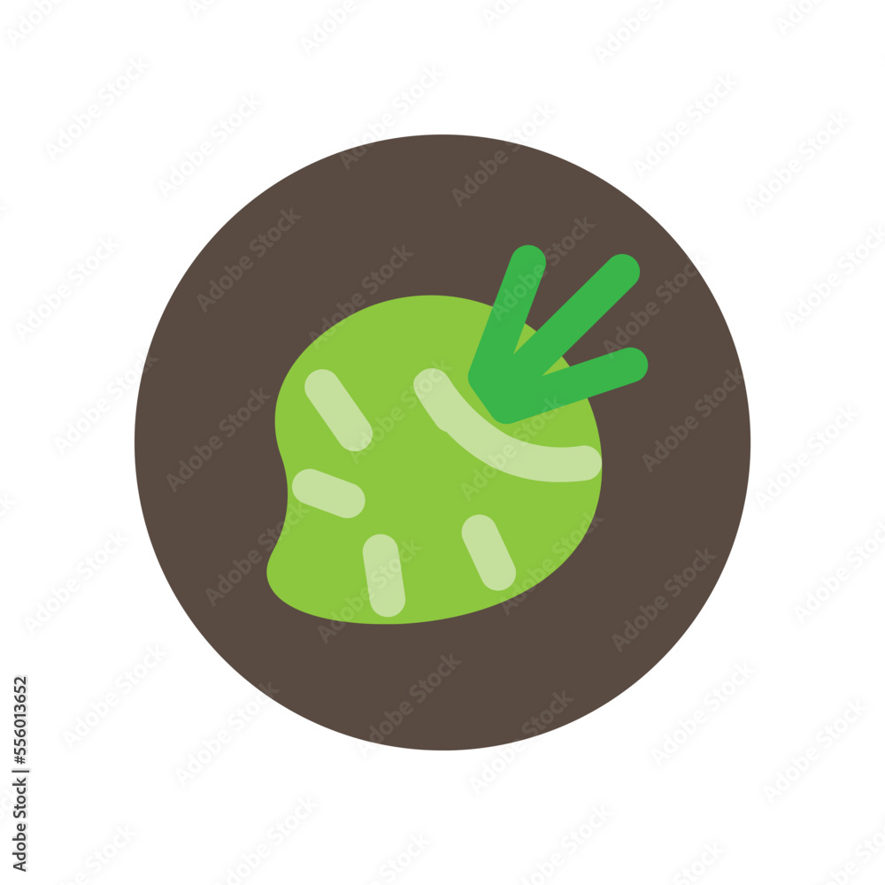 Obraz premium Celeriac Flat Icon