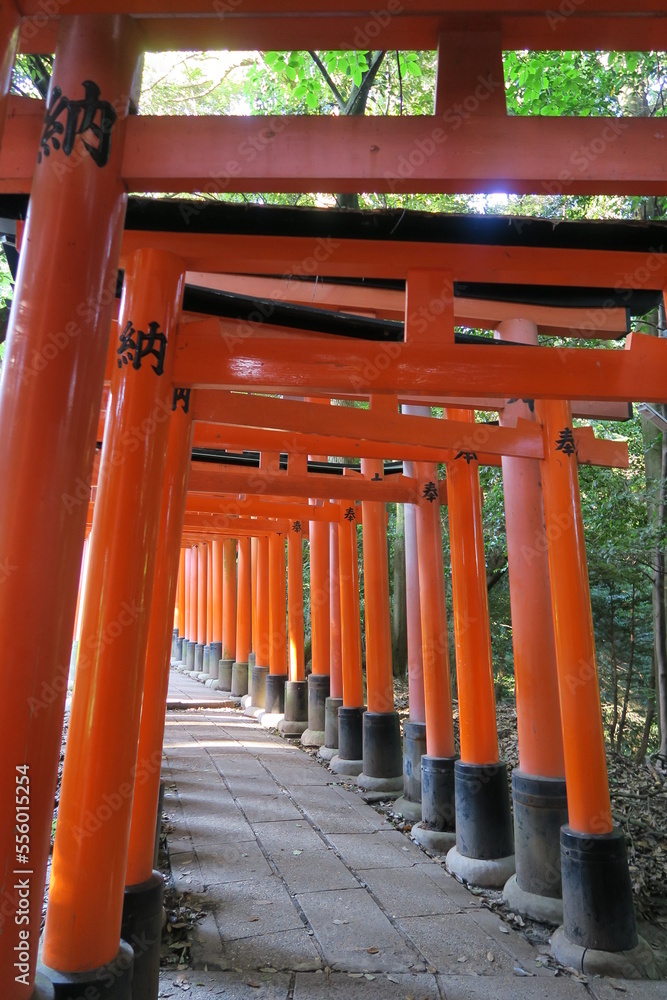 Kyoto Torii