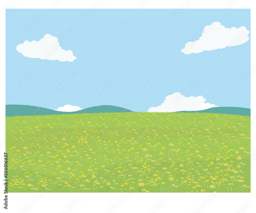 春の風景 菜の花畑と青空 春の風景 菜の花畑と青空