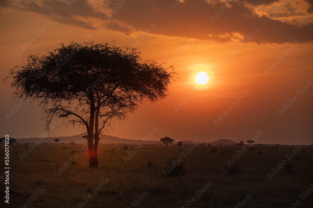 Stunning Tanzanian Sunset