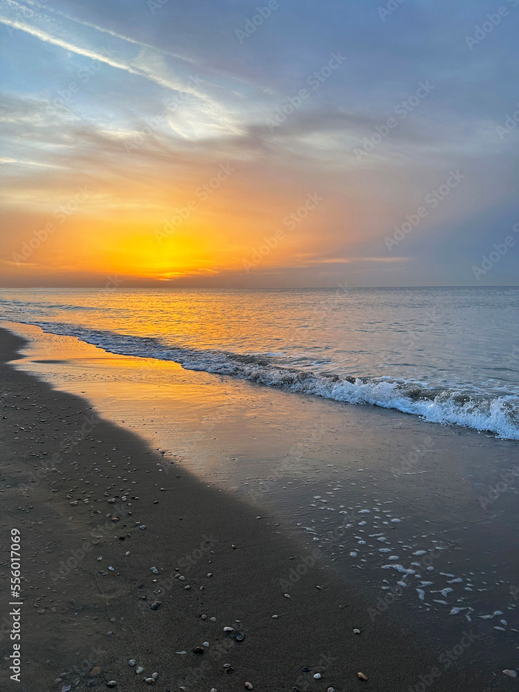 Beautiful view of sandy beach at sunrise