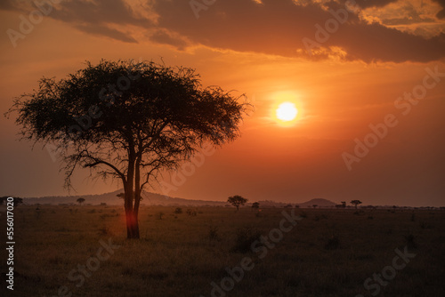 Stunning Tanzanian Sunset © Grantat