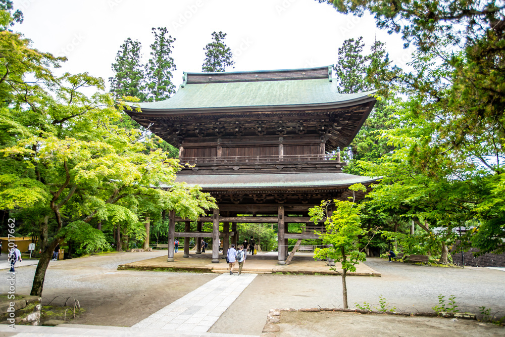 Obraz premium 神奈川県鎌倉市 円覚寺の風景