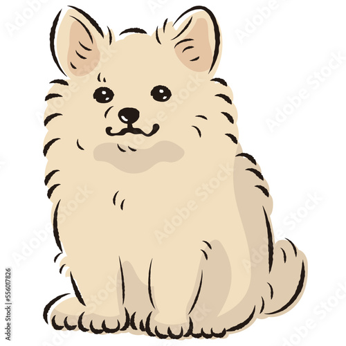 ポメチワのイラスト（ポメラニアンとチワワのミックス犬）