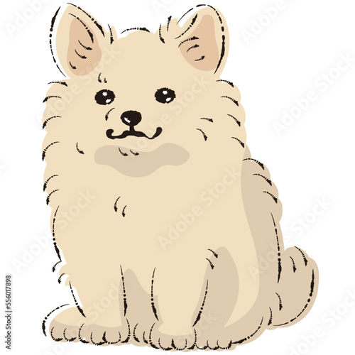 ポメチワのイラスト（ポメラニアンとチワワのミックス犬）