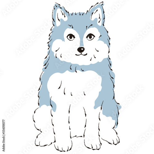 ポンスキーのイラスト（ポメラニアンとシベリアンハスキーのミックス犬）