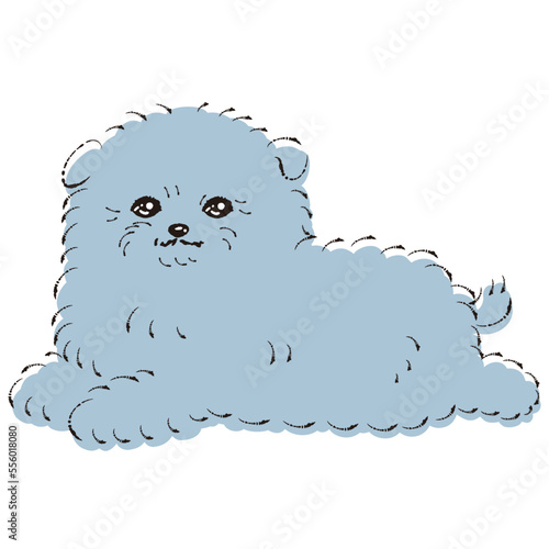 ポメプーのイラスト（ポメラニアンとトイプードルのミックス犬）