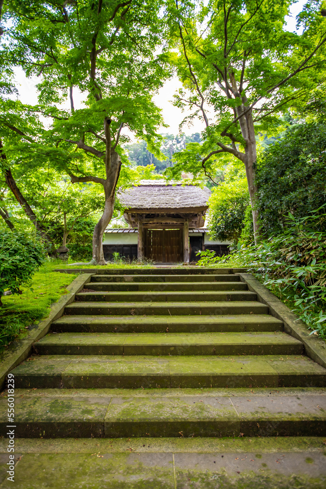 神奈川県鎌倉市　円覚寺の風景
