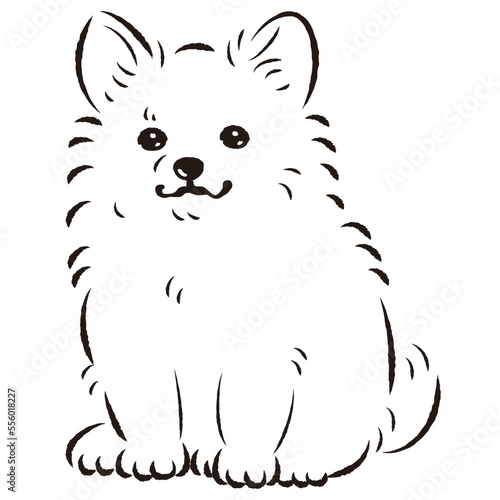 ポメチワのイラスト（ポメラニアンとチワワのミックス犬）
