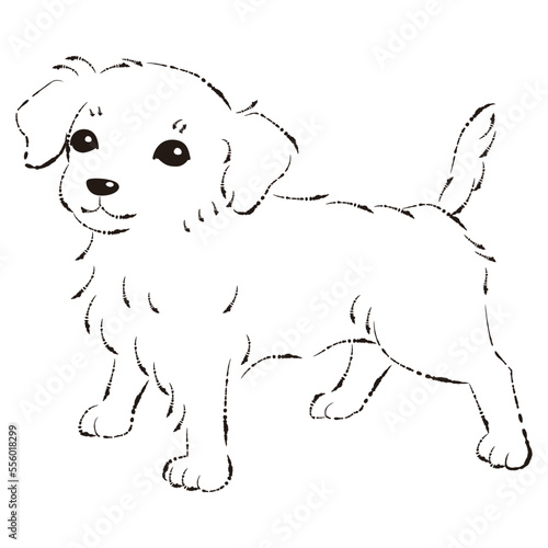 チワックスのイラスト（チワワとダックスフントのミックス犬）