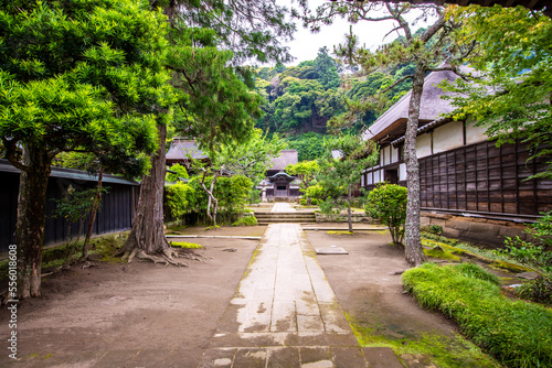 神奈川県鎌倉市 円覚寺の風景 