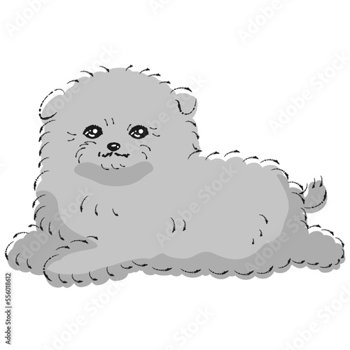 ポメプーのイラスト（ポメラニアンとトイプードルのミックス犬）