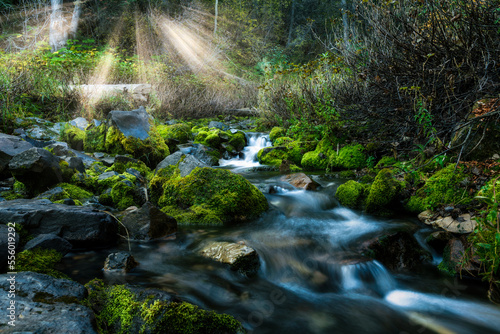 Mountain creek with mossy stones and sunbeams shinning through the trees