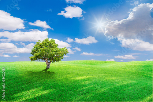 green field and blue sky with light clouds,Image of green grass field and bright blue sky. Plain landscape background for summer poster. The best view for holiday.