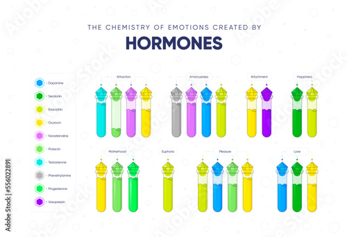 The chemistry of emotions created by hormones. Dependence of the state and mood of the person on hormonal background. Names of hormones and medical flasks filled with hormones. Vector illustration