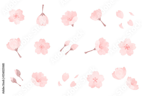 優しい手描きの桜の花の素材セット