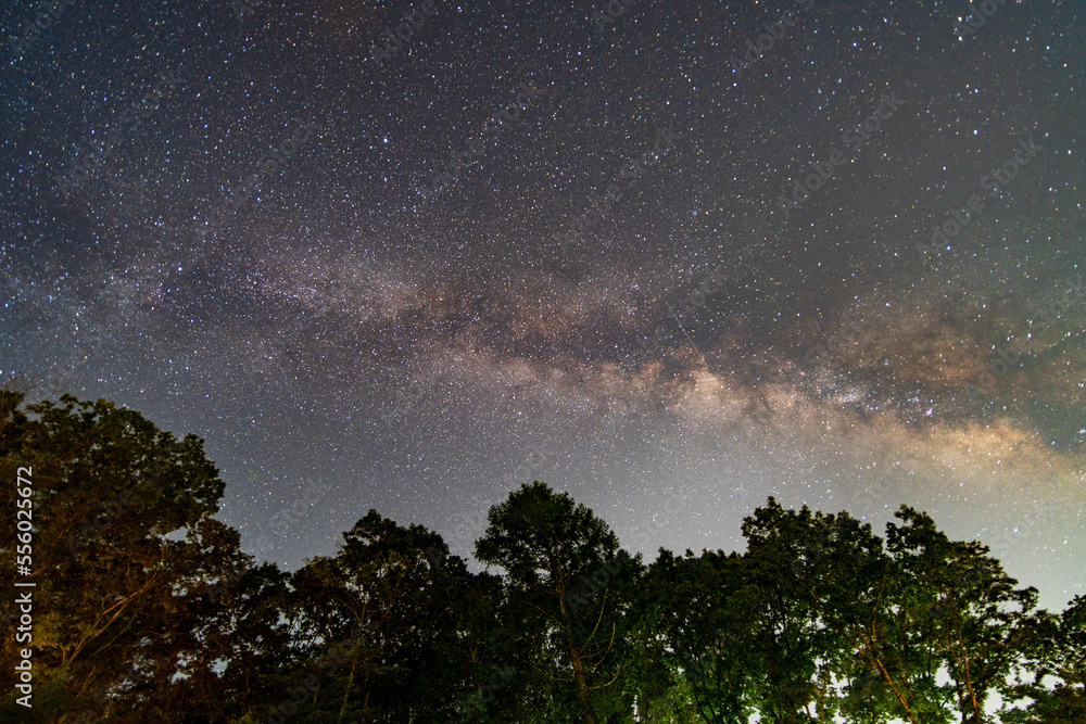 Naklejka premium starry night