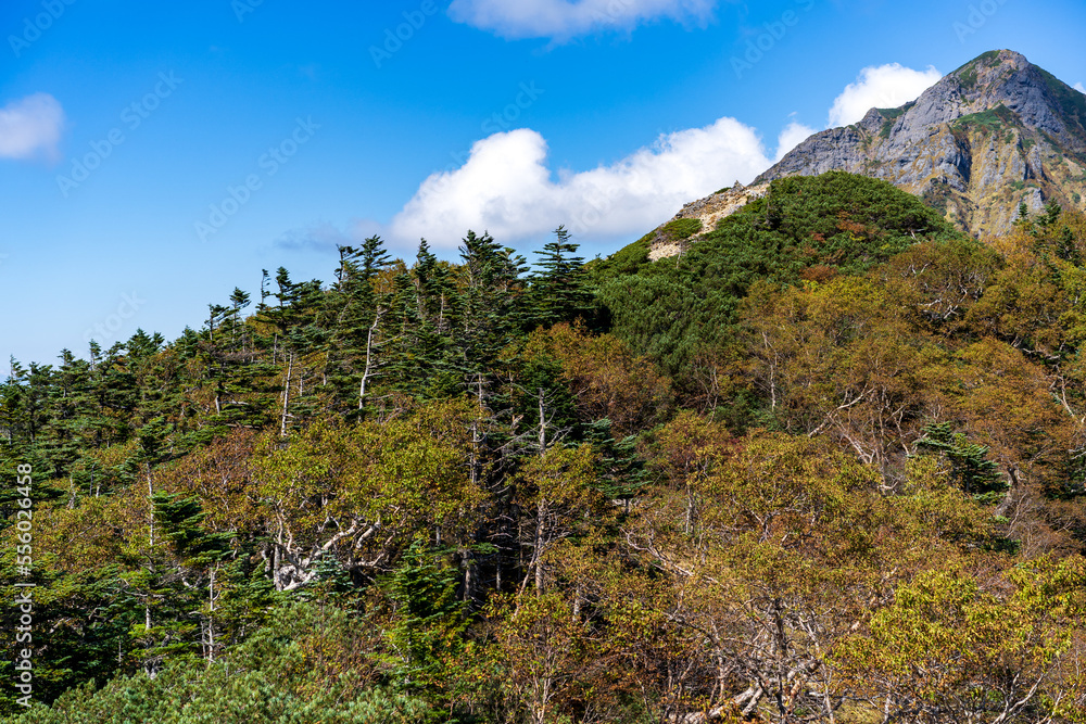 Fototapeta premium mountain landscape in the morning