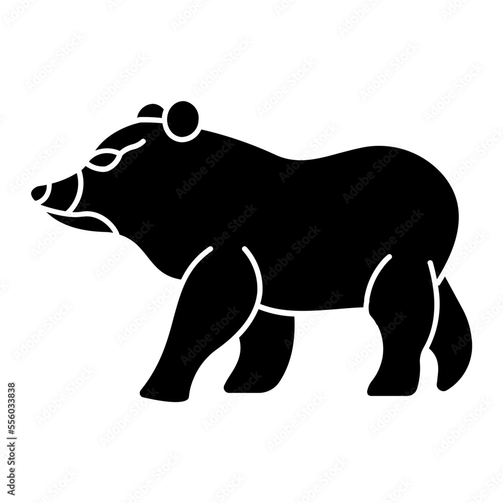 Fototapeta premium Grizzly Bear