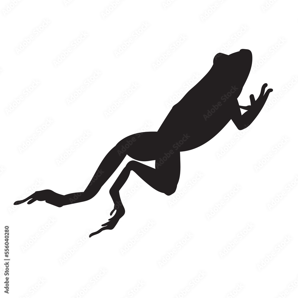 Frog black isolated silhouette on white background. Amphibian Vector illustration. Frog black isolated silhouette on white background. Amphibian Vector illustration.