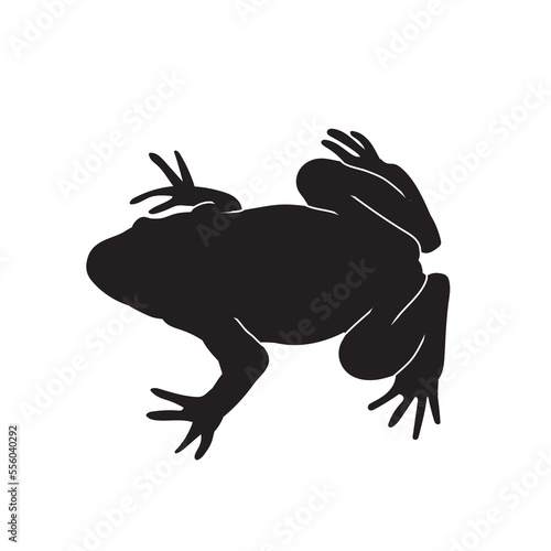 Frog black isolated silhouette on white background. Amphibian Vector illustration.