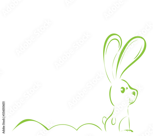 Hase