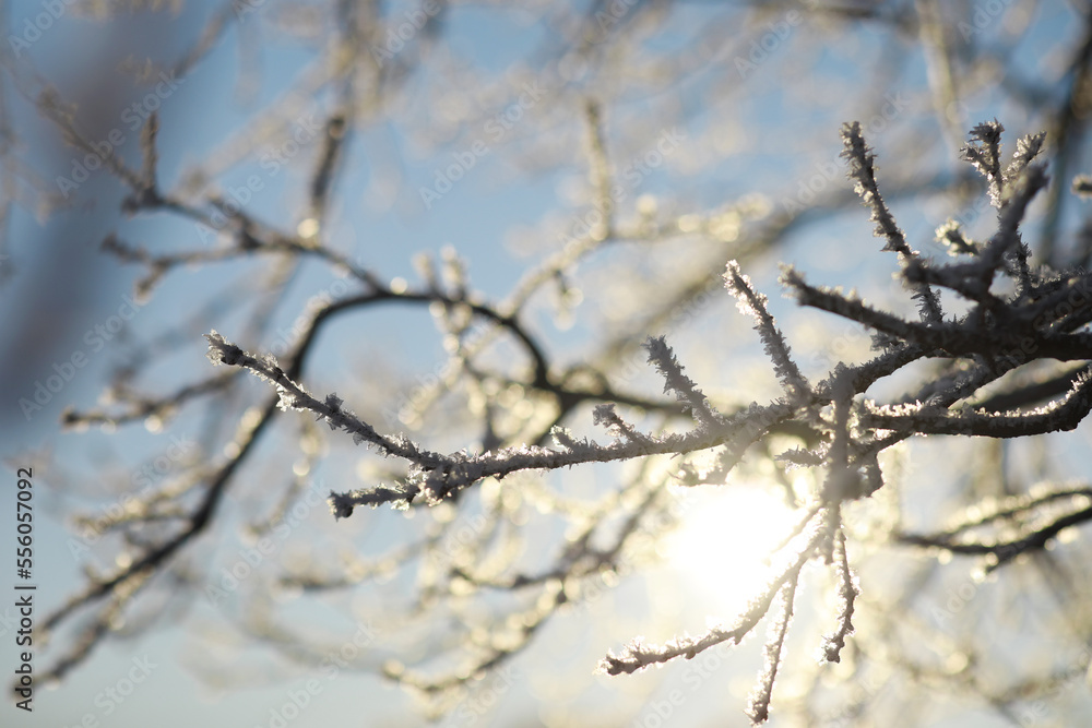 Winter landscape. Fairy-tale beauty of snow-covered streets. Snowfall and cooling in tourist areas. Winter landscape. Fairy-tale beauty of snow-covered streets. Snowfall and cooling in tourist areas.