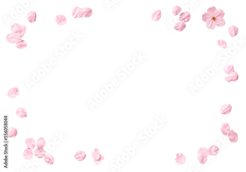 切り抜きで使える、リアルな桜の花吹雪 © AGRX
