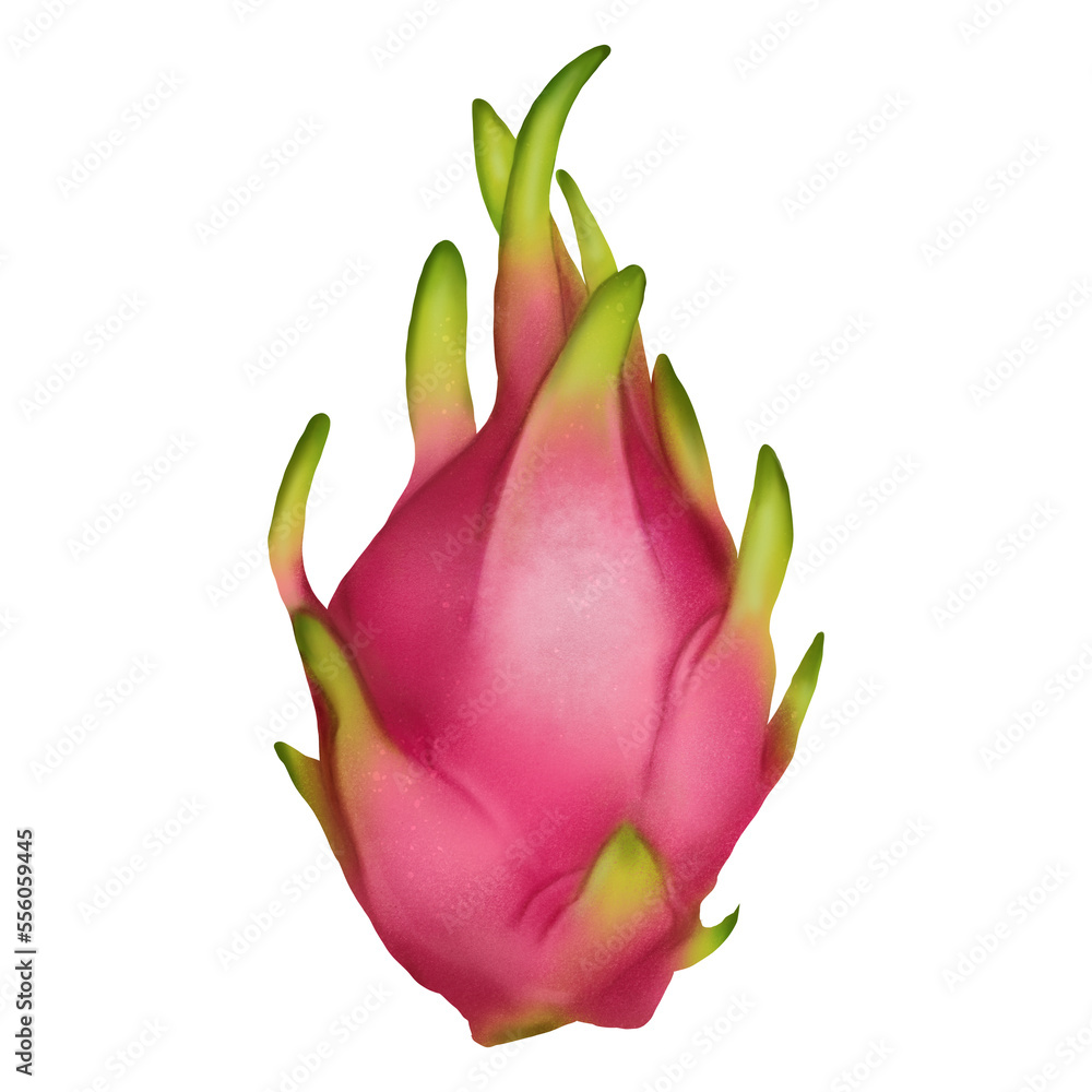 dragon fruit isolated on white dragon fruit isolated on white