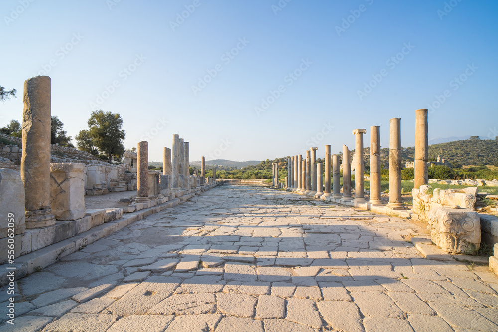 Patara (Pttra). Ruins of the ancient Lycian city Patara.
Antique (