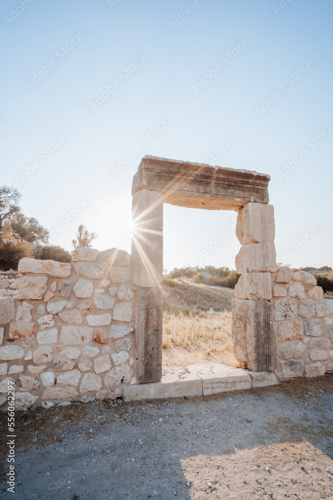 Patara (Pttra). Ruins of the ancient Lycian city Patara. Patara archaeological site,