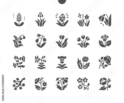 Spring flowers. Snowdrop  petunia  tulip  iris and other. Flora and nature. Vector Solid Icons. Simple Pictogram
