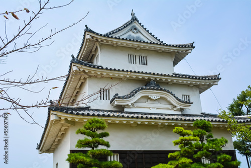Main tower of Marugame-jo castle at summer sunny day, Marugame, Kagawa, Japan