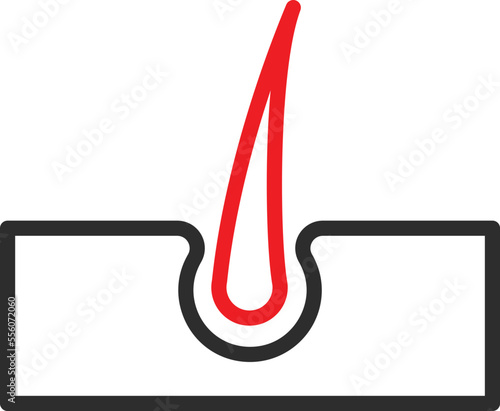 growth hair treatment Vector Icon
