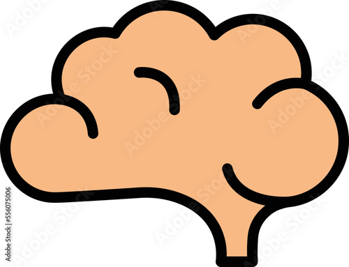  Brain Vector Icon
