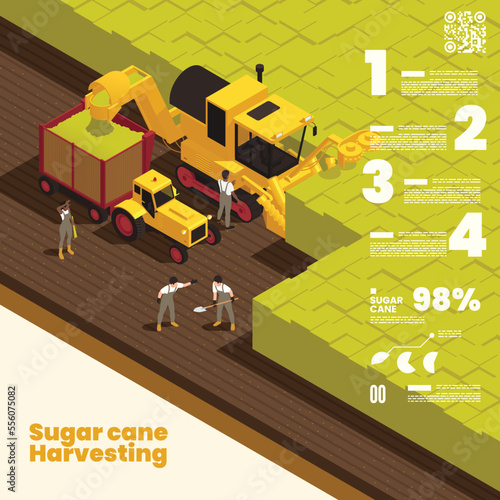 Sugar Cane Harvesting Isometric Background