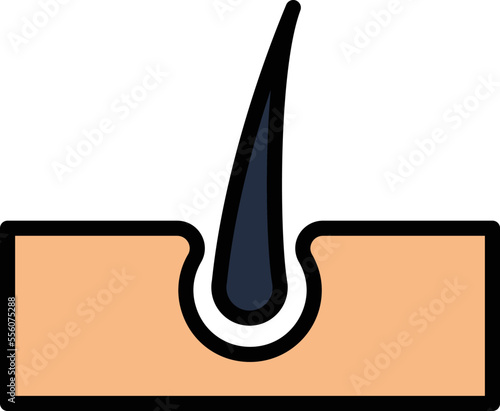 growth hair treatment Vector Icon
