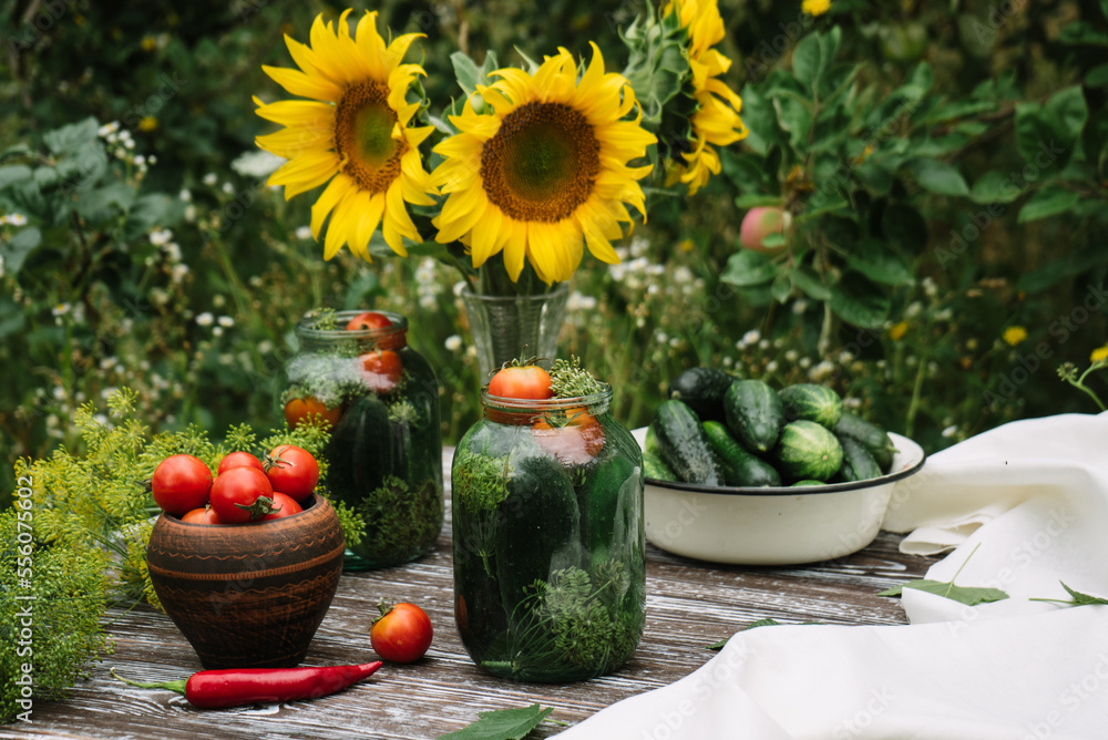 fresh farm tomatoes in a clay pot, cucumbers in a jar, sunflower flowers, chili peppers, garlic, currant leaves, dill umbrellas on a brown wooden background 6 fresh farm tomatoes in a clay pot, cucumbers in a jar, sunflower flowers, chili peppers, garlic, currant leaves, dill umbrellas on a brown wooden background 6