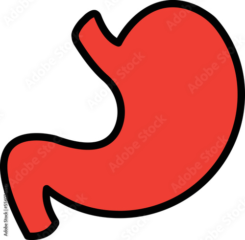 Stomach Vector Icon
