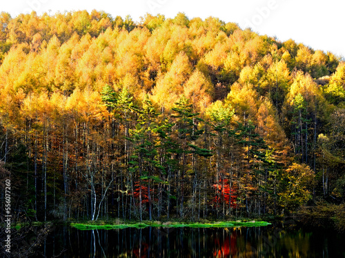 The morning sun shines on the mountain above Mishaka pond  photo