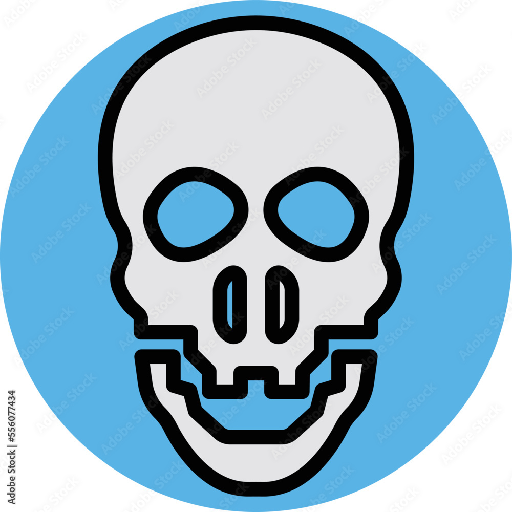 Skull Vector Icon
