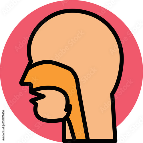Nasal canal Vector Icon
