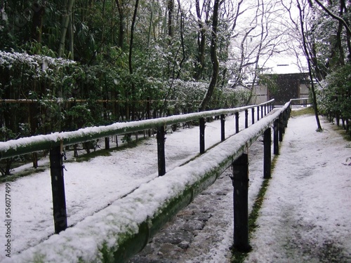 京都　大徳寺高桐院の雪景色 © seine
