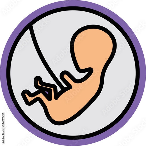 Pregnant belly Vector Icon