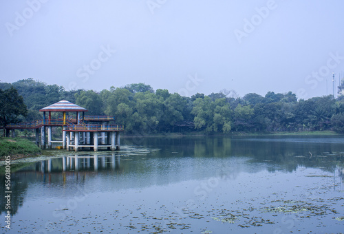 Landscape photo of Pond